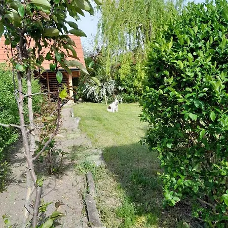 Polonia * Cserepfalu